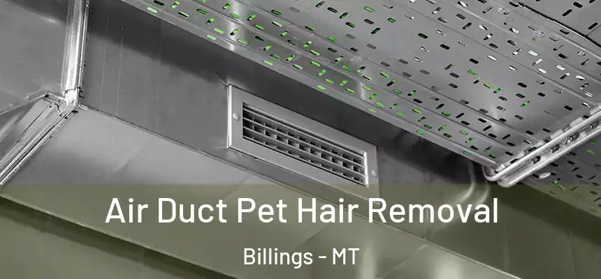  Air Duct Pet Hair Removal Billings - MT