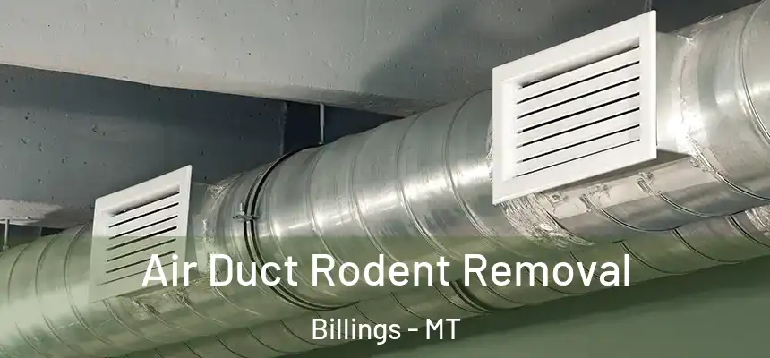  Air Duct Rodent Removal Billings - MT