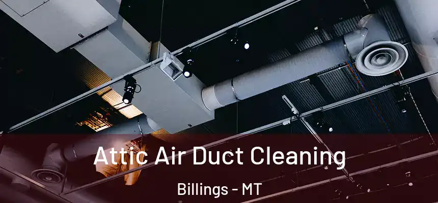 Attic Air Duct Cleaning Billings - MT