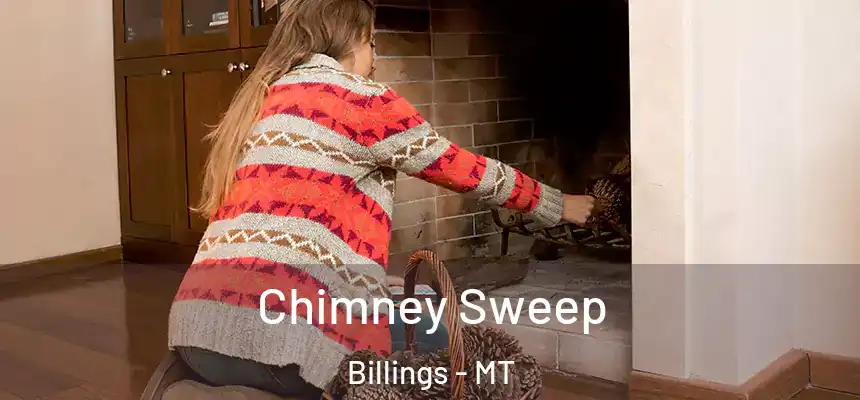 Chimney Sweep Billings - MT
