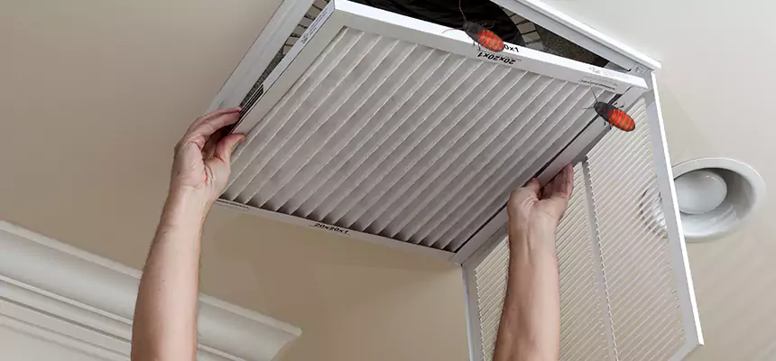 Preventive Cockroach-Proofing for Ducts in Billings