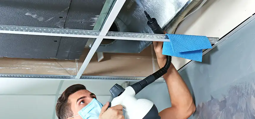 Our Air Duct Rodent Removal Services in Billings, MT