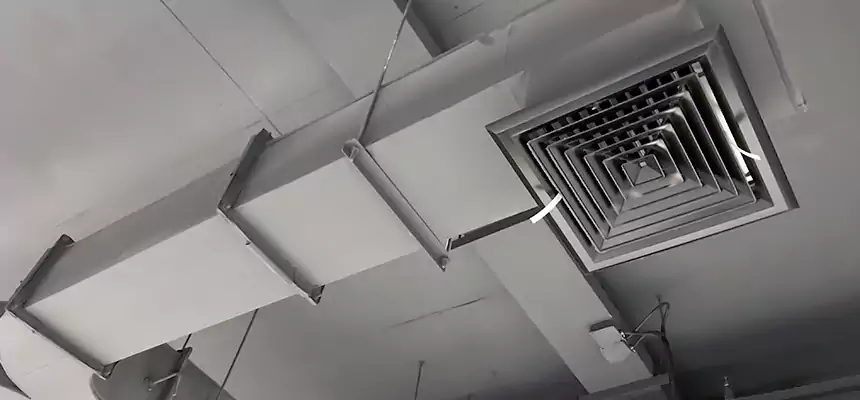 Restorative Allergy Relief Vent Cleaning – Coil, Blower & Housing Detail in Billings