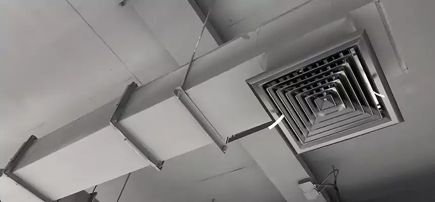 Our Rodent Droppings In Vents Services in Billings, MT