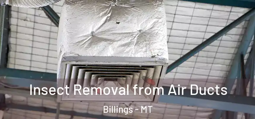 Insect Removal from Air Ducts Billings - MT