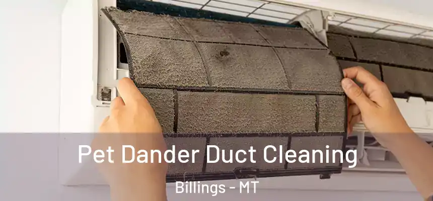Pet Dander Duct Cleaning Billings - MT