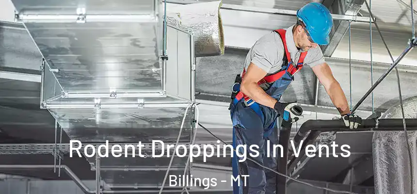 Rodent Droppings In Vents Billings - MT