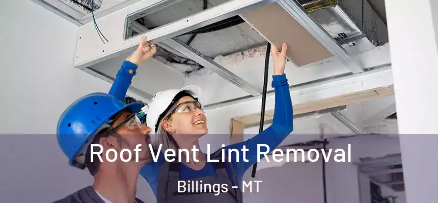 Roof Vent Lint Removal Billings - MT