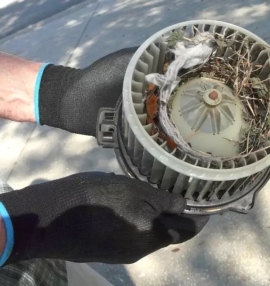 About Air Duct Rat Removal in Billings, MT