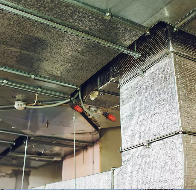 Why Homeowners & Businesses Trust Us in Billings, MT?