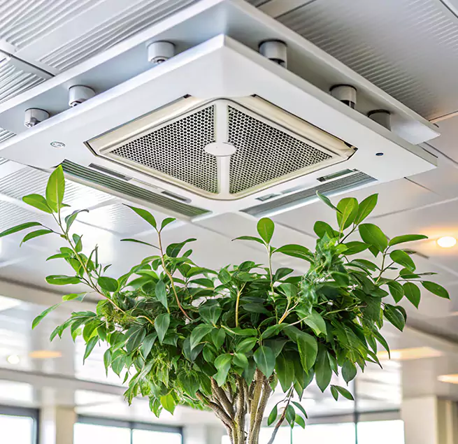 Why Homeowners & Businesses Trust Us in Billings, MT?