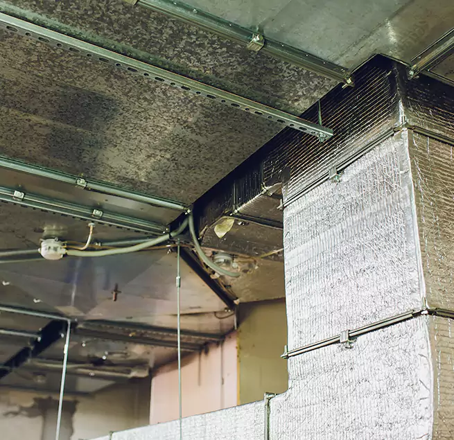 Why Homeowners & Businesses Trust Us in Billings, MT?